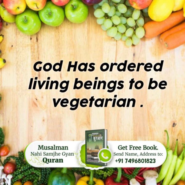 #रहम_करो_मूक_जीवों_पर

 In the Holy Bible in Genesis 1:29 and 1:30 God has ordered us to eat healthy food which includes fruits, leaves and vegetables.

Sant RampalJi YouTube Channel