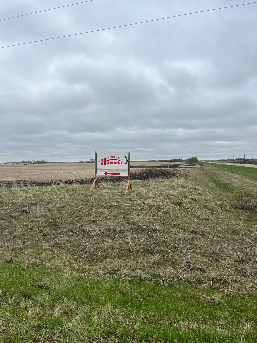 Thank you to Kevin and Cindy Routledge for renting us a field for 2024. Thanks to Kevin and Cindy, we have a wonderful location along highway 21 south of Hamiota. 

We would also like to thank Jason Smith and Kevin Kirk for prepping the field for seeding.