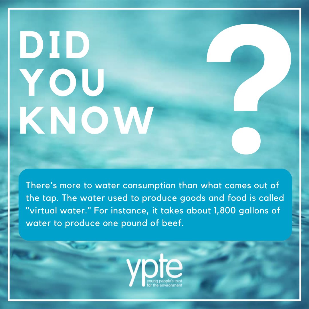 Celebrate Water Saving Week by diving into our engaging water cycle lessons! Perfect for Key Stage 2 classes. Make the most of Water Saving Week with our lessons//ypte.org.uk/lesson-plans/water-cycle #WaterSavingWeek #WaterCycle #Education #Conservation @Waterwise