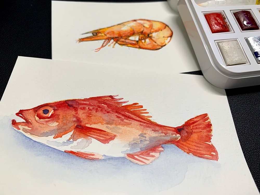 「水彩始めてる これはよく描けた魚 」|arukeのイラスト