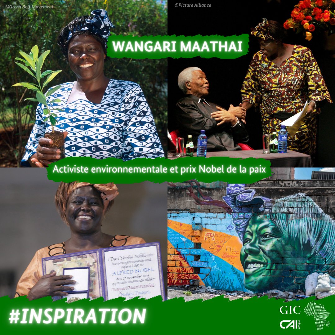 #Inspiration: Wangari Maathai, protectrice de l’environnement & femme politique🇰🇪

🌳Surnommée 'Mama Miti' (la mère des arbres), #WangariMaathai est connue entre autres pour avoir fondé le @GreenBeltMovmnt.

Elle est aussi la 1ère africaine à avoir reçu le #PrixNobel de la paix👏🏿