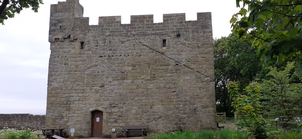 Cresswell Pele Tower with it's walled garden & wood full of corvids like something out of Noggin The Nog. Does anybody else that kid's programme from back in the day?