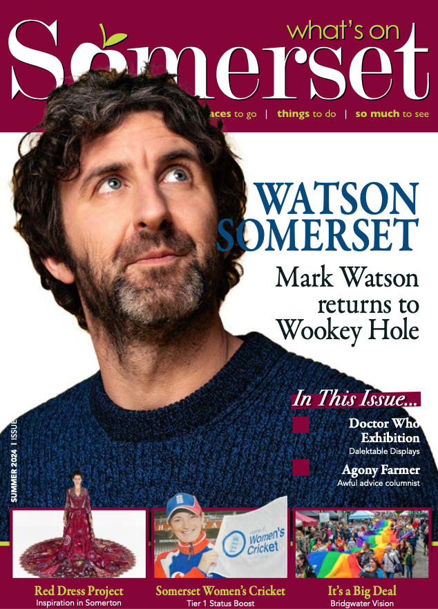 What's On Somerset tweet media