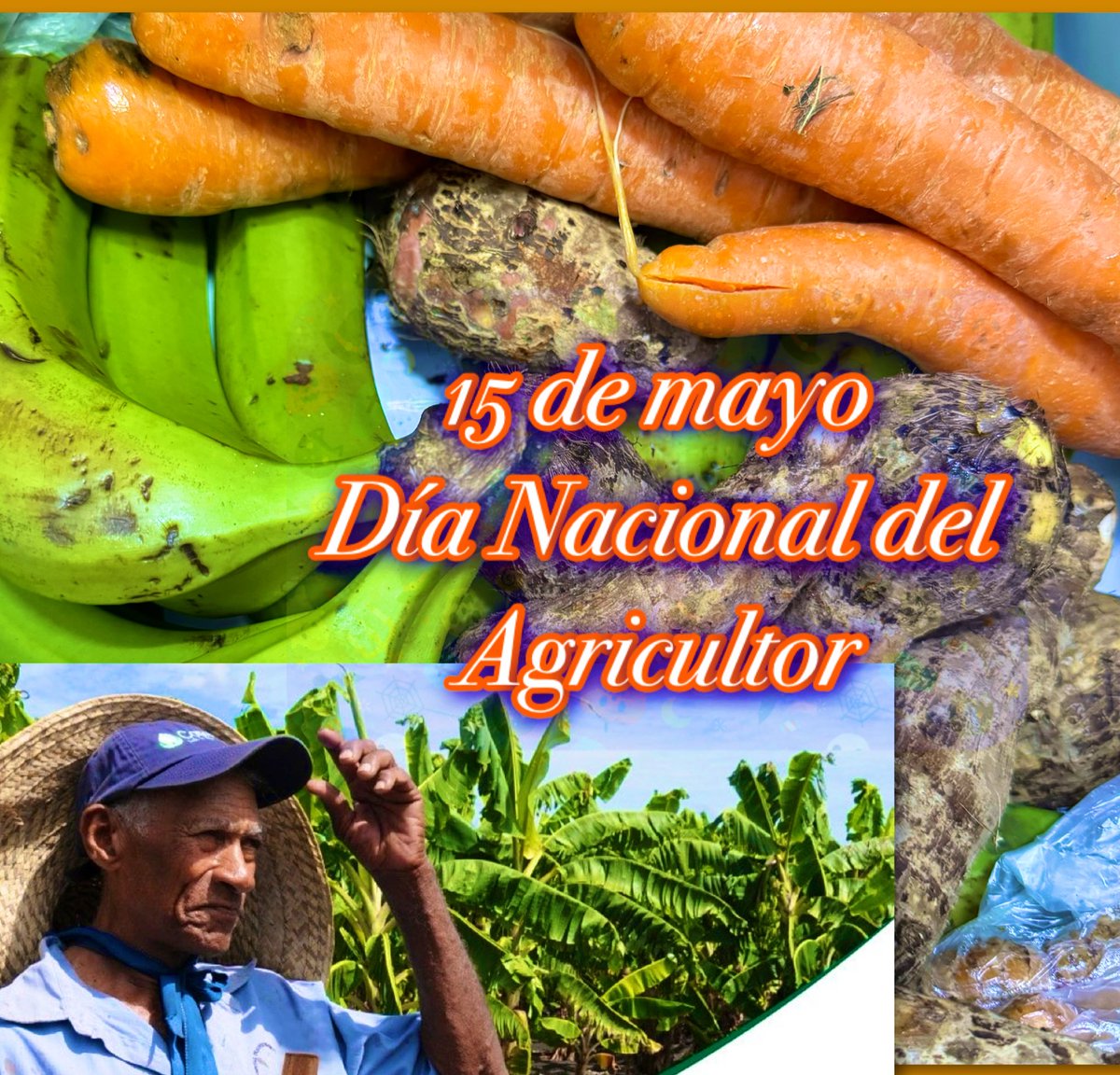 15 de mayo: Día de San Isidro Labrador,”Día del Agricultor” en RD🇩🇴 Las condiciones del tiempo para hoy se presentan con escasas lluvias, debido a la incidencia de una circulación anticiclónica y una ligera capa de polvo Sahariano. Temperaturas calurosas, viento del este/sureste