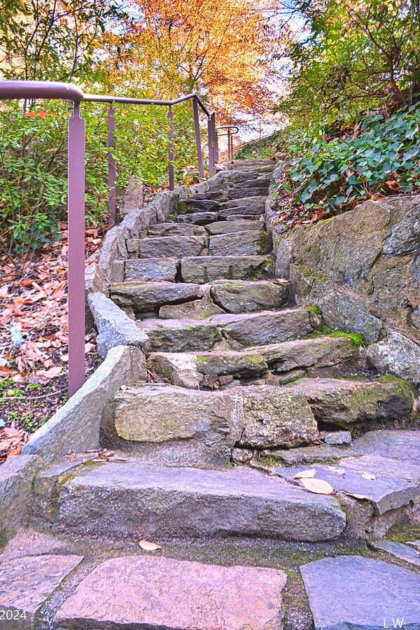 Check out this image on Fine Art America/Pixels. #LisaWootenPhotography buff.ly/3UpAneo Looking Up The Steps In Falls Park On The Reedy