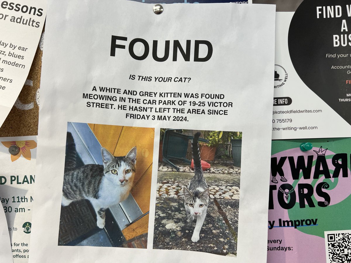 Found Cat
#Jericho