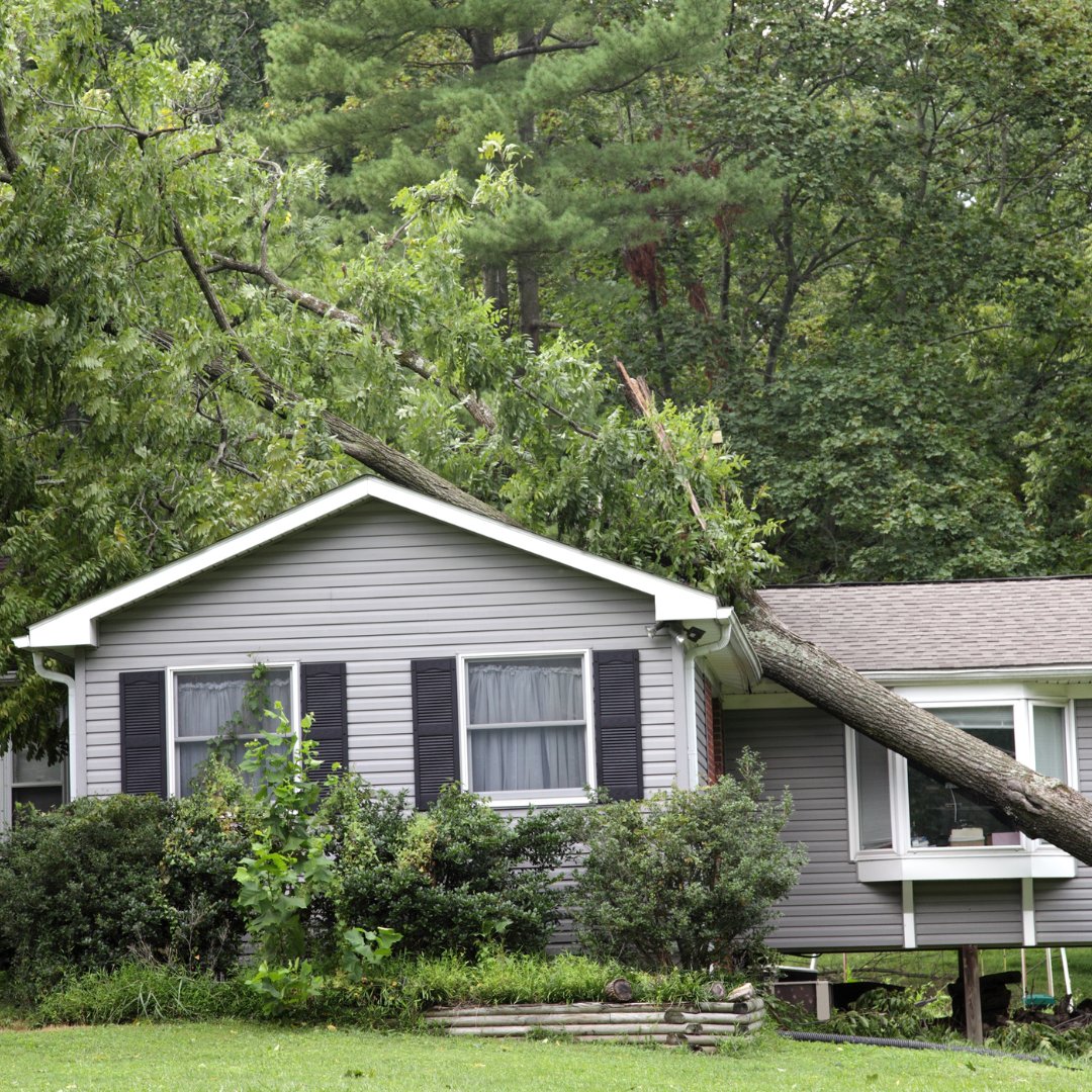 Your home's shield against the Texas weather begins with your roof. Enduring scorching summers and torrential downpours requires a dependable roof. M&M Roofing, Siding, & Windows will provide you with a free, no-obligation roofing estimate! 📞 800.352.3933