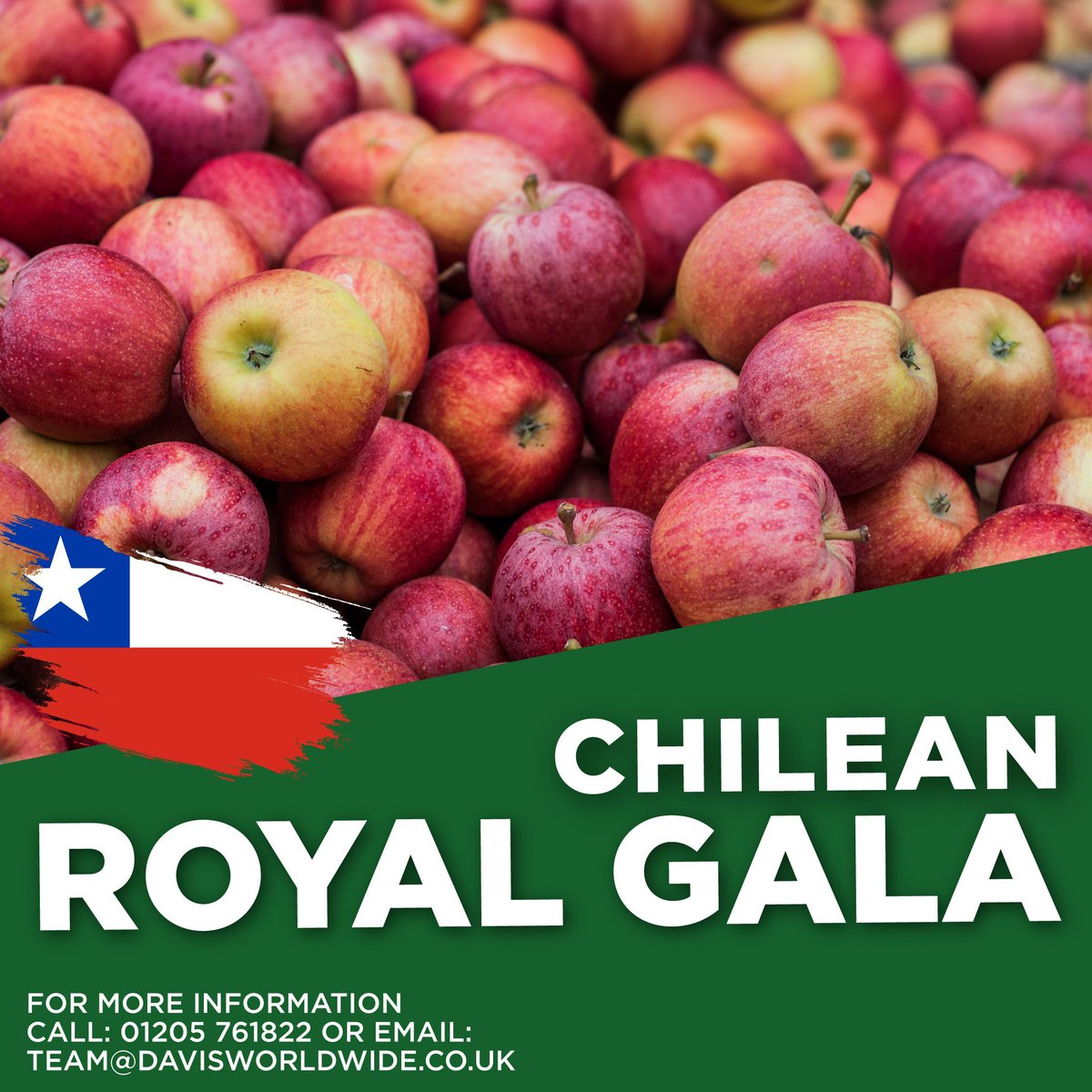 Available Now! Delicious Royal Gala Apples with real natural flavour... Chilean origin.

Order yours today...call 01205 761822 or email team@davisworldwide.co.uk

#apple #apples #fruit #freshapples #qualityapples #fruitlovers #fruits #LoveNature #appleswholsale #wholesaler #food