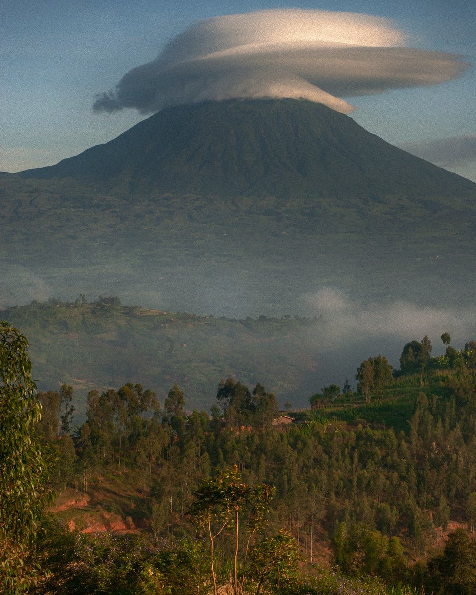 Bucket list item: Visit Volcanoes National Park in Rwanda. tripadv.sr/3UXLJqc
