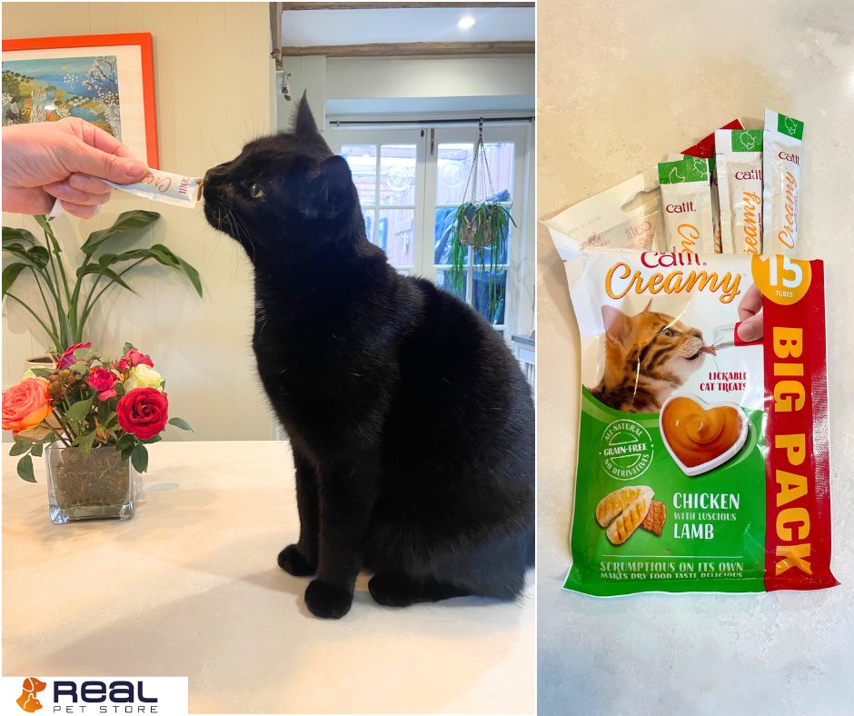 Bill’s a big fan of our Catit Creamy All Natural Cat Treats! 
With high meat content and rich in amino acids, this lickable cat treat is sure to keep your cat happy🐱

Shop the Catit range for treats and more ow.ly/5G8950RquSW

#catit #cattreats #lovecats #petsupplies
