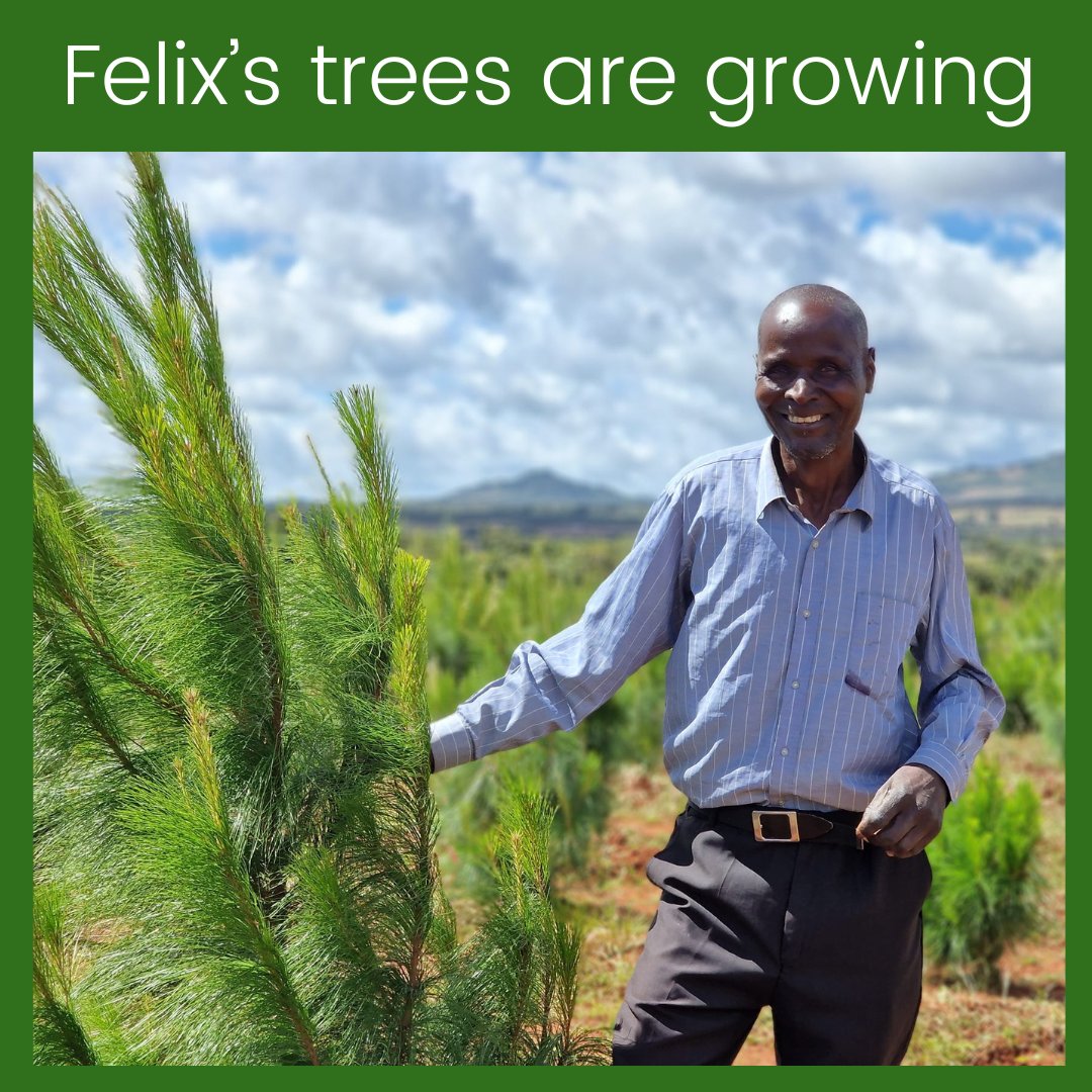 We introduced you to Felix in November. He had planted 2,000 trees & was raising another 5,000 seedlings - which have since been planted out. We popped back to see the progress and the trees have grown massively. Felix is also doing intercropping.

#treeplanting #farming #Malawi