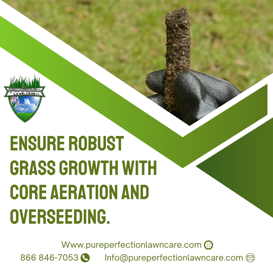 Contact us to schedule your service! 🌱 Let's give your grass the boost it needs to thrive!

🌐 pureperfectionlawncare.com
📞 866 846-7053
📧 Info@pureperfectionlawncare.com

#PurePerfectionLawnCare #landscapedesign #landscaper #grasscutting #lawnstripes #landscapers