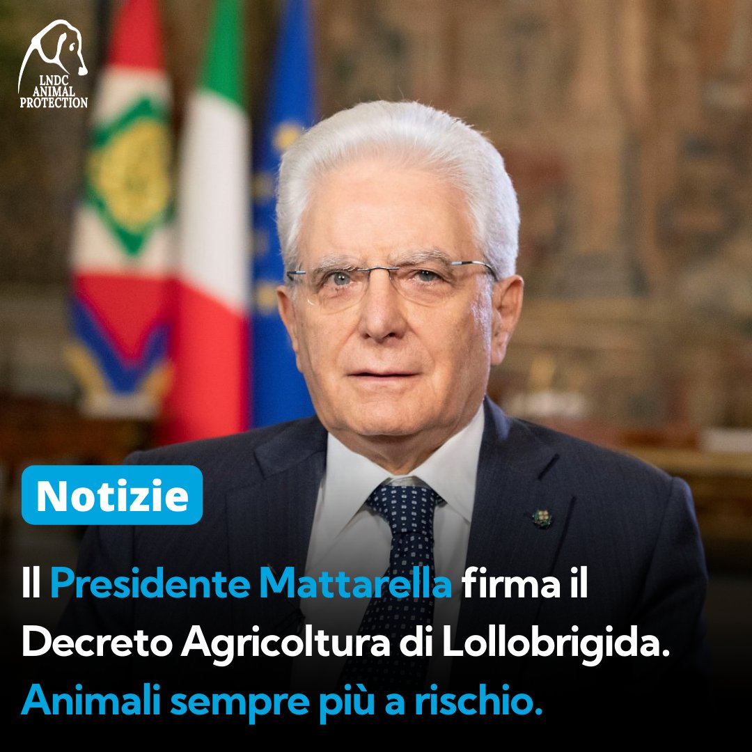 Oggi il nostro Presidente della Repubblica ha firmato il Decreto Agricoltura che noi di #LNDC, insieme alle altre associazioni animaliste e ambientaliste, avevamo contestato. I cacciatori saranno maggiormente favoriti, mentre gli attivisti animalisti saranno puniti.