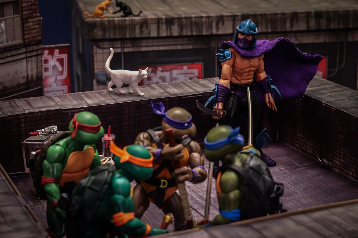 @KingdomFigure @NECA_TOYS @TMNT @TMNTMovie @wiki_tmnt @TMNTeth01 @ShredderCryptoX 'This guy knows where Splinter is'