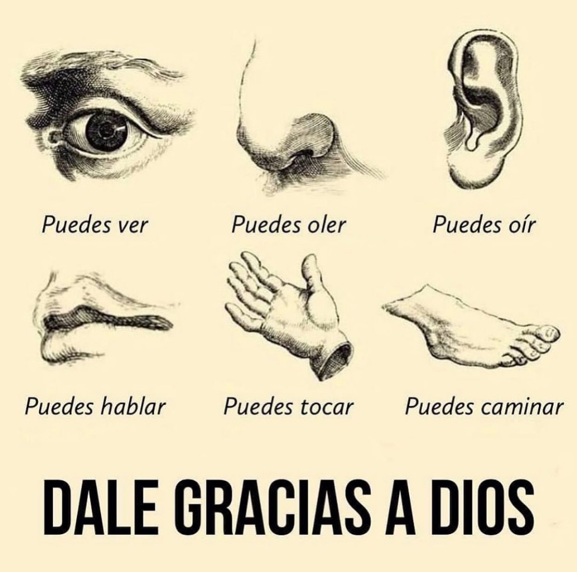 DIOS Une a Sus Hijos (@diosunesushijos) on Twitter photo 