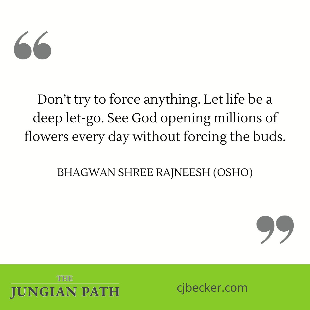 'Don’t try to force anything.  Let life be a deep let-go.  See God opening millions of flowers every day without forcing the buds.' - Bhagwan Shree Rajneesh (Osho)   #connection #instaflower #shreerajneesh #life