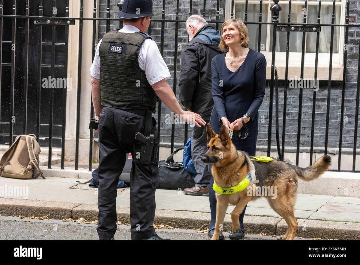 Finn, the guide dog got very excited when he say .@Number10cat when he was helping to deliver a .@NFB_voice  petaton on floating bus stops.... .@Alamy_Editorial