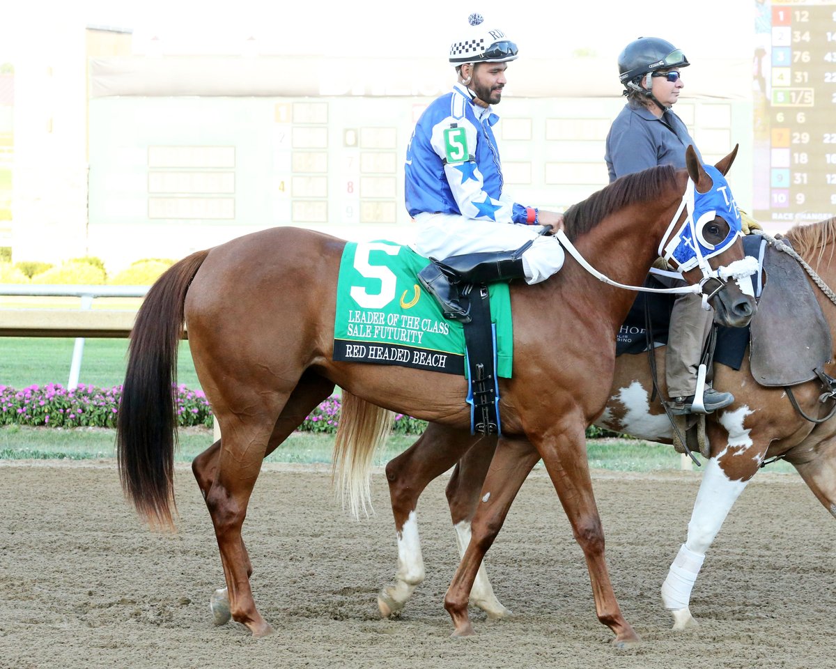 Sadly, Wednesday's card at @HSIndyRacing was rained out. Eleven races are set for tomorrow! The final 3 are trials for the Harley Greene Derby; superstar filly Red Headed Beach makes her 3YO debut for trainer Tim Eggleston! @HSIndyTammy @RacingRachelM @JohnGDooley @AQHARacing