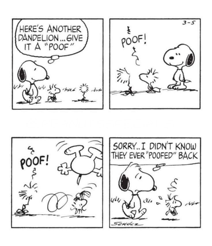 snoopy & woodstock comic of the day