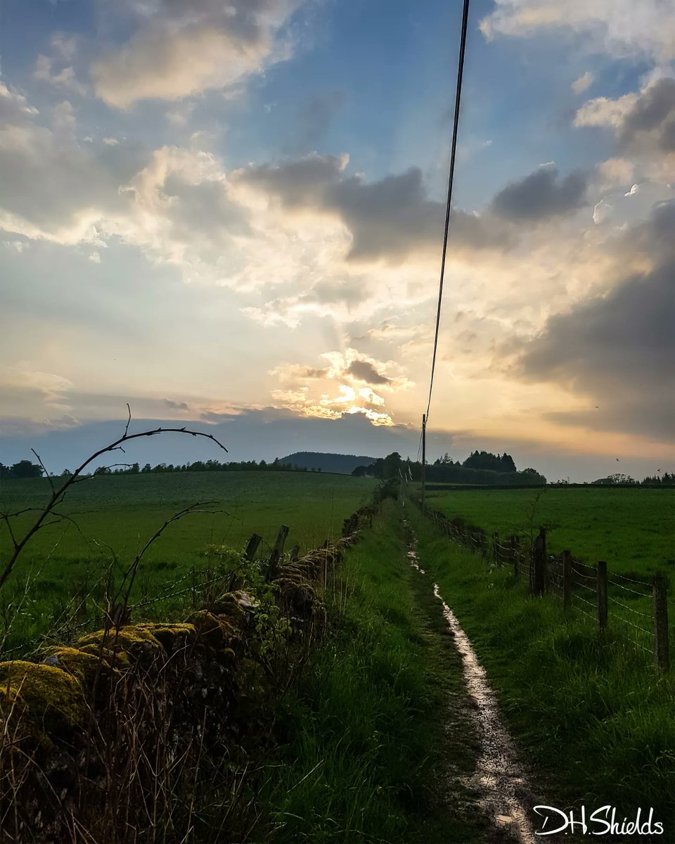 Daily walking in Scotland 📷