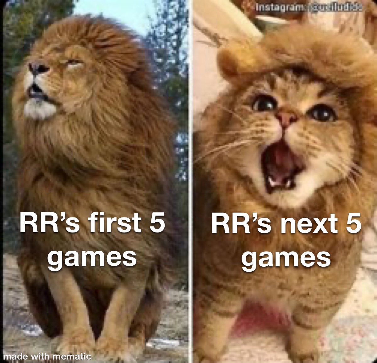 Reusable Meme For Choker Rajasthan Royals