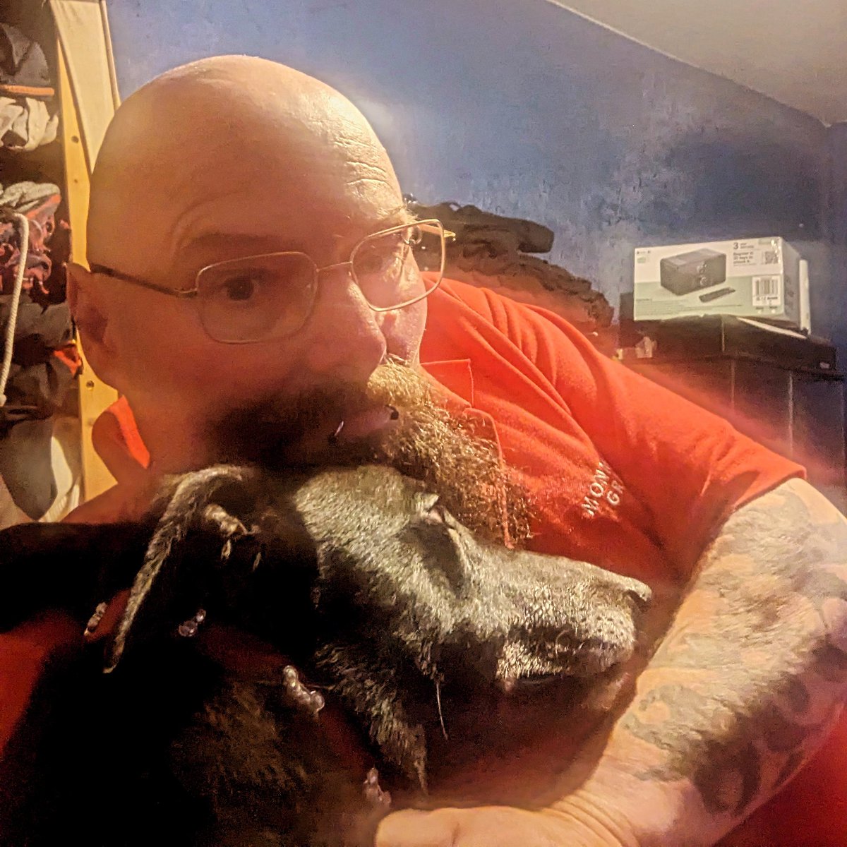 freaksquid5's tweet image. 