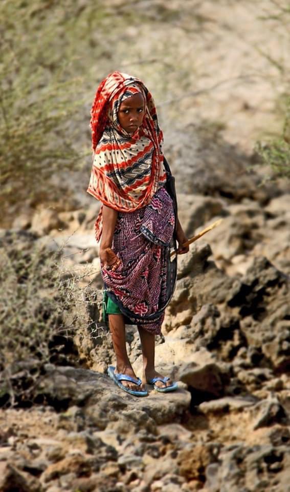 Young Afar Girl From Dankalia Waiting After Goats Alone, Eritrea🇪🇷