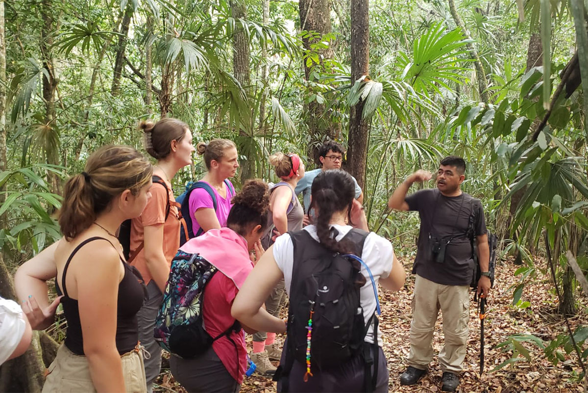 From rainforests to savannas to coral reefs, Transylvania students are exploring the world of tropical ecology in Belize this #MayTerm with professors Belinda Sly and James Wagner. 🌴