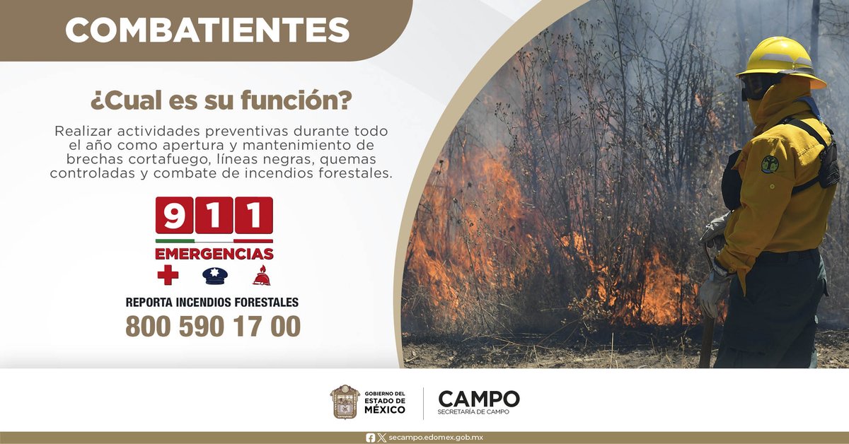🔥🌲 En lalínea de fuego, los combatientes de #IncendiosForestales son nuestros héroes. 
 
Ante la emergencia, analizan, planifican y realizanestrategias que permitan sofocar el fuego, para proteger nuestros bosques.
#PrevenirEsMejorQueCombatir