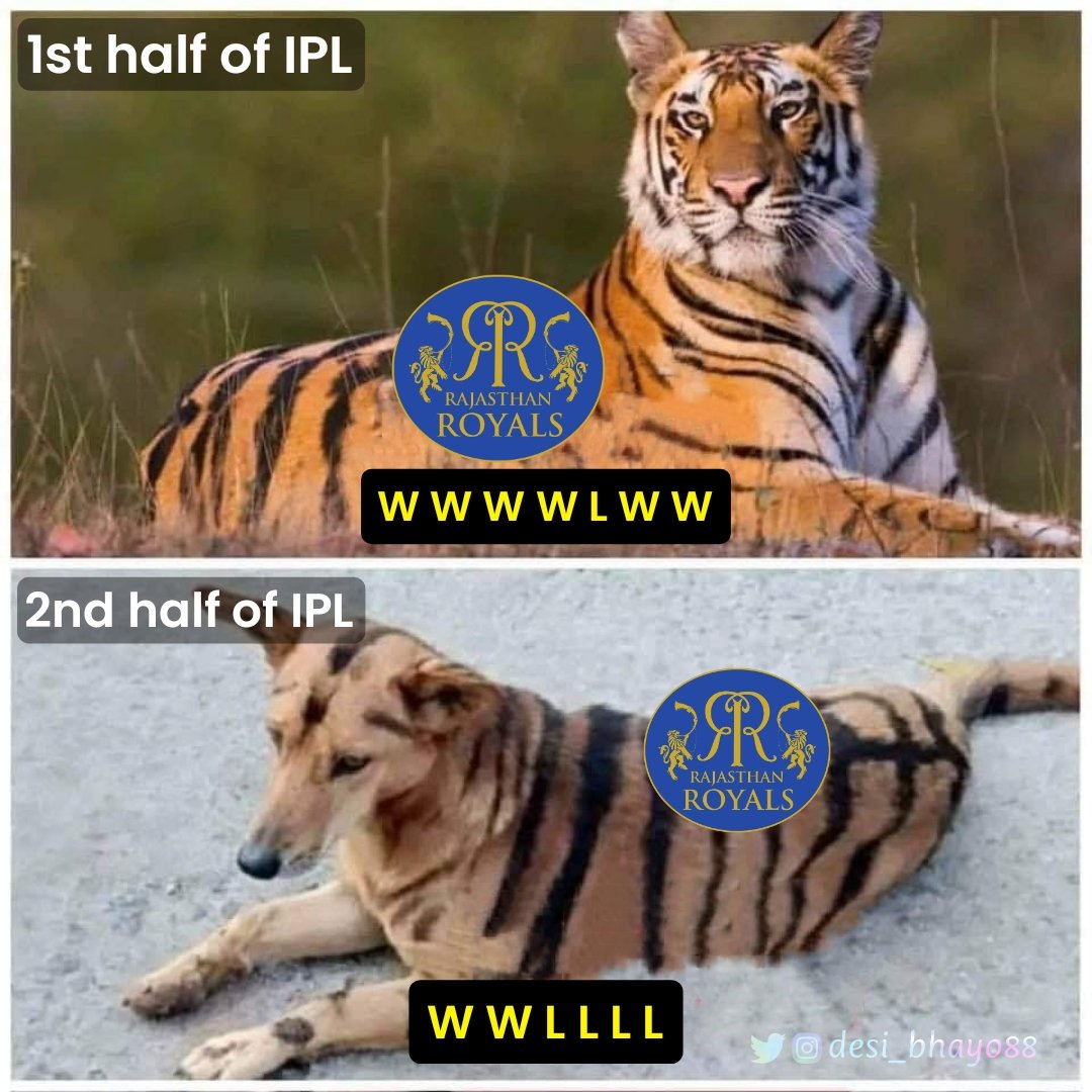 Rajasthan Royals in second half of IPL 😭
#RRvsPBKS