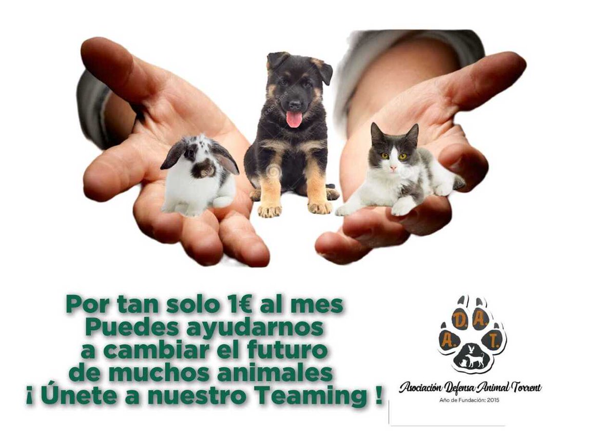 Nunca 1€ podrá ser más útil, valioso, vital y solidario. ¡ Ayúdanos a seguir ayudando a los animales ! Hazte teaming. 💚 teaming.net/adat