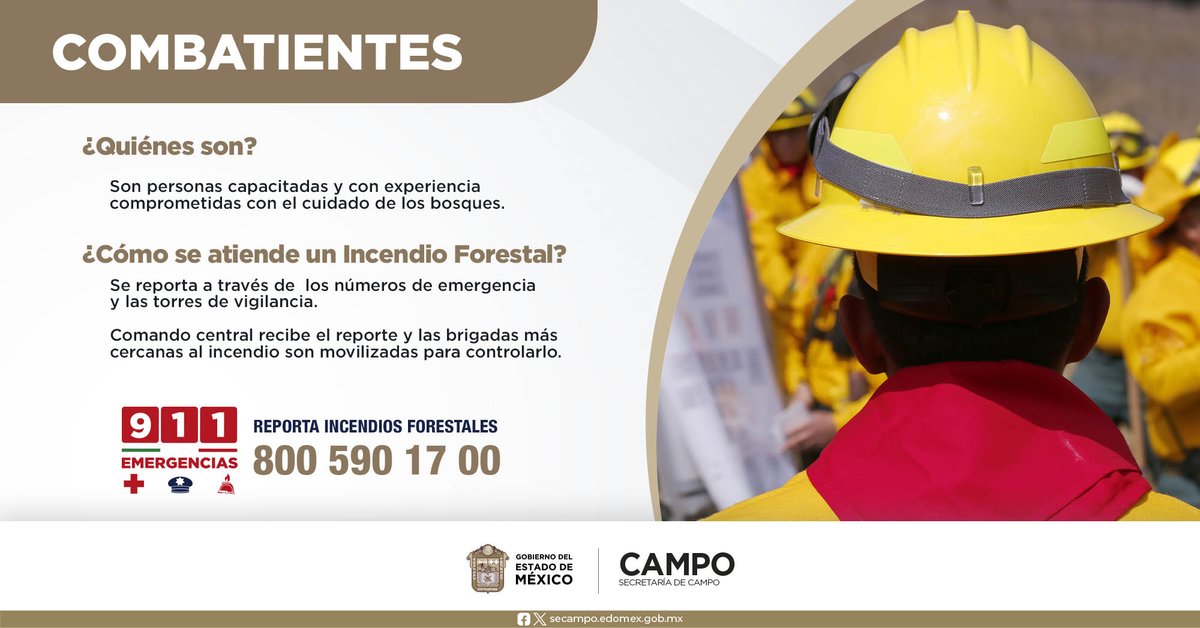 Los combatientes de #IncendiosForestales son mujeres y hombres capacitados para atender estas emergencias. Además, se encargan de realizar actividades preventivas para evitar mayores afectaciones.
 
#PrevenirEsMejorQueCombatir