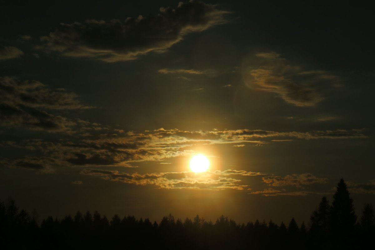 annefinn88's tweet photo. When the sun goes down... 🌅❤️ #ilovesunset #watchingthesunset #atsunset #sunsetview #sunset #sungoesdown #auringonlasku #nature #spring #kevät #coldnight #coldday #finland #may #toukokuu #keskiviikko #Wednesday #WednesdayNight #evening https://t.co/pe6RPMOvab