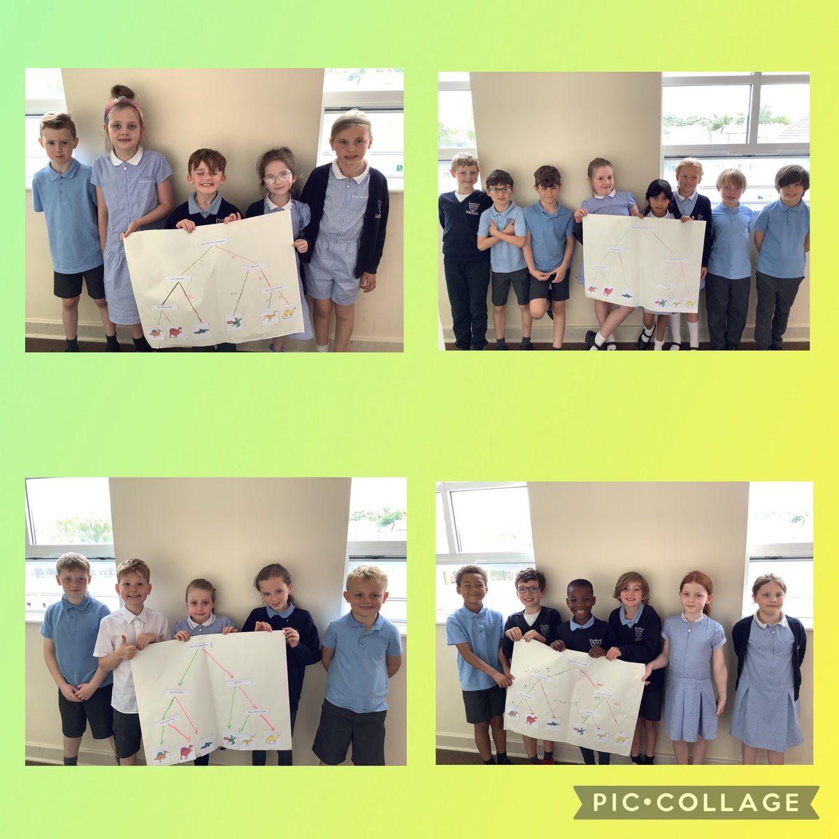 Mrs Da Silva (@mrsdasilva_olol) on Twitter photo In our Computing lesson, the children were introduced to branching databases. In small groups, they created their own branching database to sort six different animals. It was a challenging task but they did it! #makeadifference <a href="/ololprimary_HT/">Headteacher at OLOL</a> #CompOLOL In our Computing lesson, the children were introduced to branching databases. In small groups, they created their own branching database to sort six different animals. It was a challenging task but they did it! #makeadifference <a href="/ololprimary_HT/">Headteacher at OLOL</a> #CompOLOL