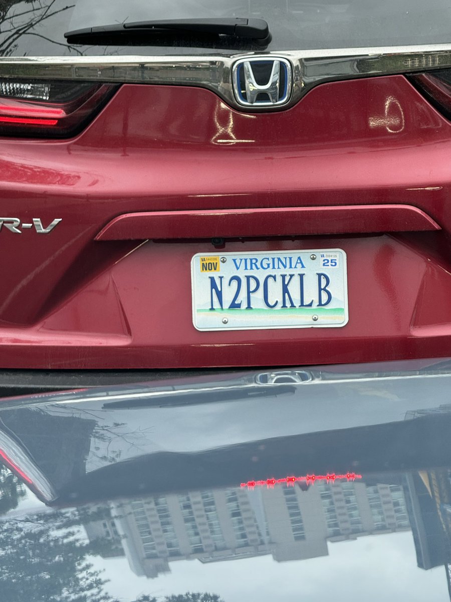 Talk about a 🥒 🎾 enthusiast! #pickleball #licenseplate