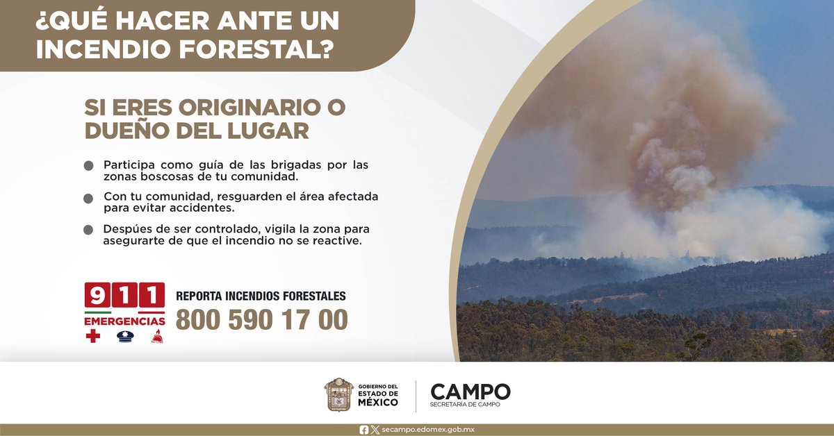 En esta temporada, si eres dueño o poseedor de una zona boscosa y detectas un #IncendioForestal, sigue las recomendaciones de la siguiente imagen.

📞 Reporta incendios al Teléfono Rojo de #Probosque: 800 590 1700 o al 911. 
#PrevenirEsMejorQueCombatir