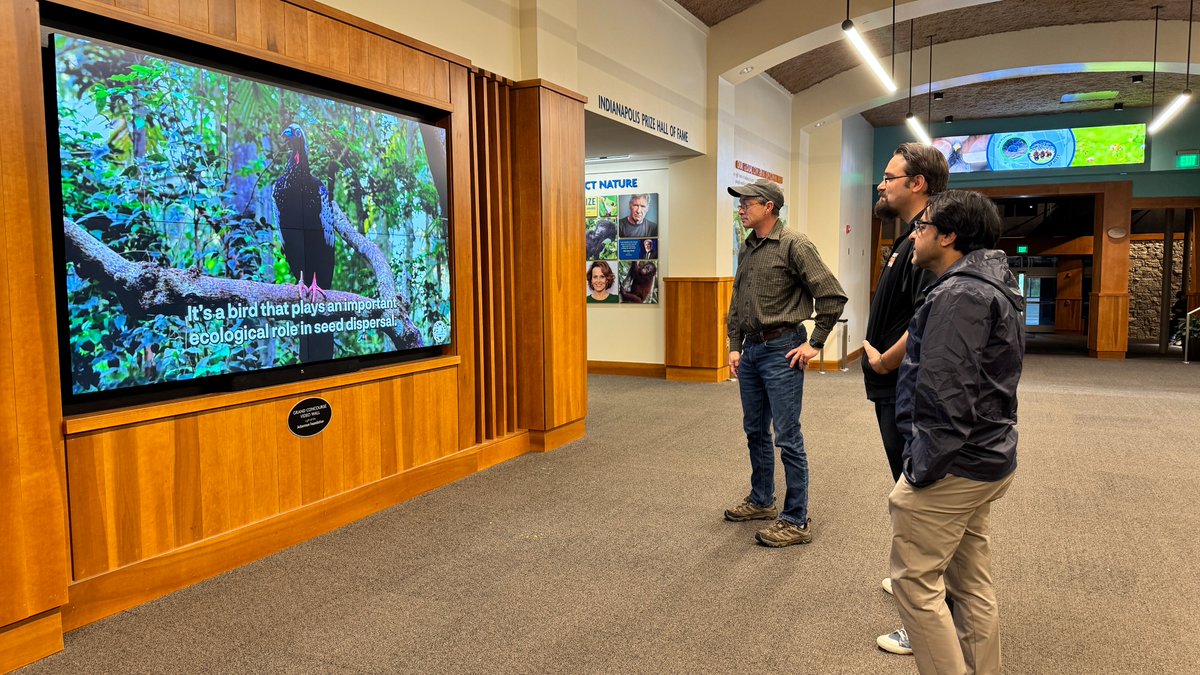 Global Center for Species Survival (@protectspecies) on Twitter photo Love that we have the #WorldSpeciesCongress available for guests to watch LIVE as they walk through the Global Center for Species Survival today. If you're in the area, visit the <a href="/IndianapolisZoo/">Indianapolis Zoo</a> and be part of this incredible worldwide event, presented by <a href="/ReversetheRed1/">Reverse the Red</a>. Love that we have the #WorldSpeciesCongress available for guests to watch LIVE as they walk through the Global Center for Species Survival today. If you're in the area, visit the <a href="/IndianapolisZoo/">Indianapolis Zoo</a> and be part of this incredible worldwide event, presented by <a href="/ReversetheRed1/">Reverse the Red</a>.