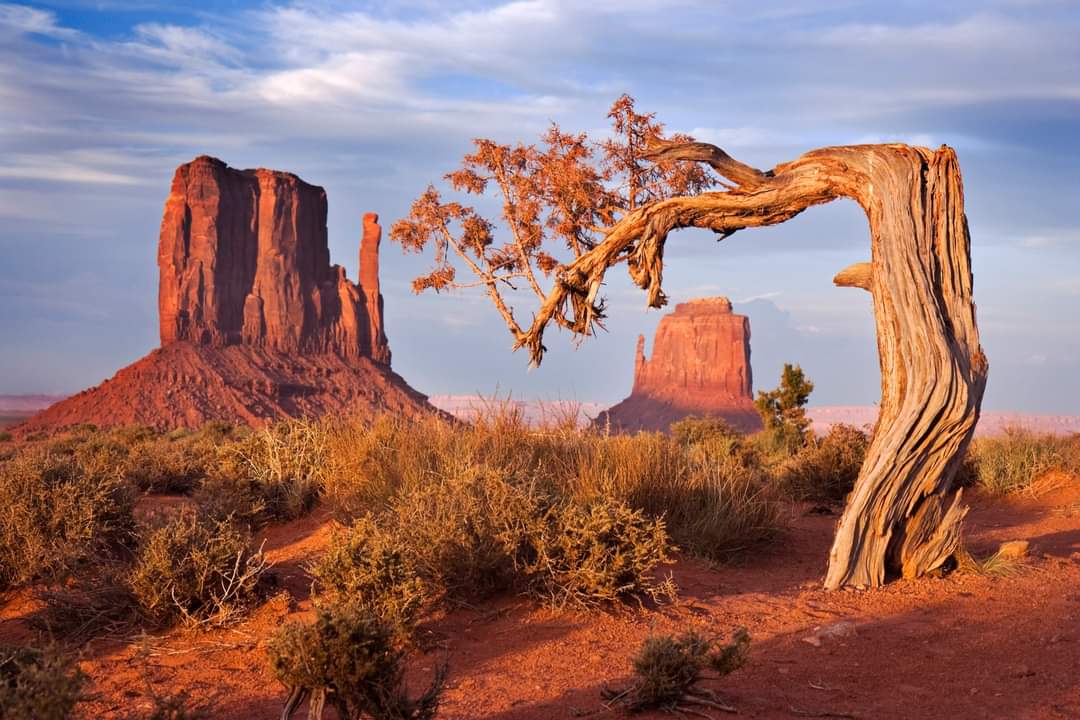 Utah, a landlocked state, located in Intermountain West, western United States. Utah is bordered by all of the mountain states except Montana and is often called 'Crossroads of the West'. Utah's majestic mountains, lakes, and deserts were first beheld by man some 12,000 years