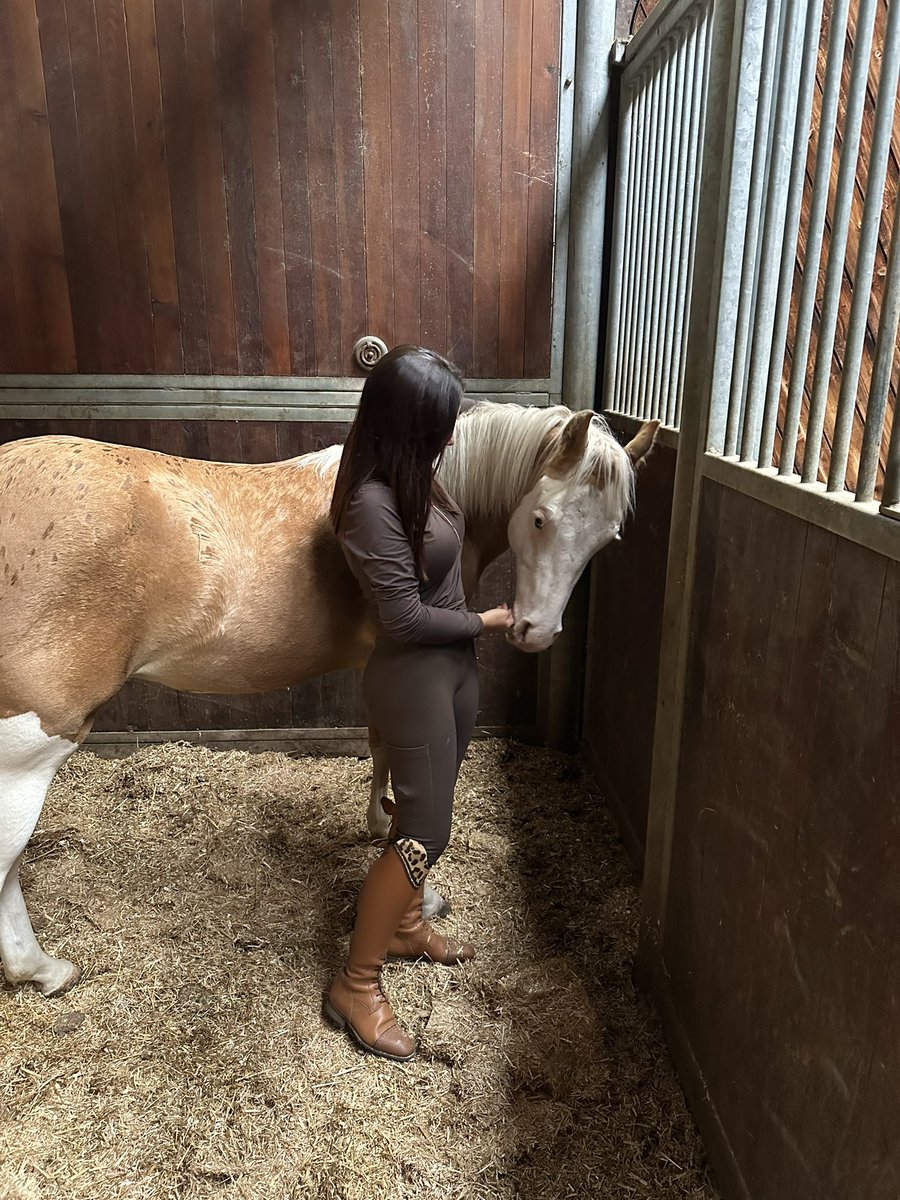 E dopo un viaggio lunghissimo in una giornata di pioggia… sei arrivato tu ❤️ non vedevo l ora di conoscerti Amore mio benvenuto nella nostra famiglia 🥹🫶🏽❤️ sei già così speciale per me, l ho capito da subito…ed ora io avró cura di te 🥲❤️