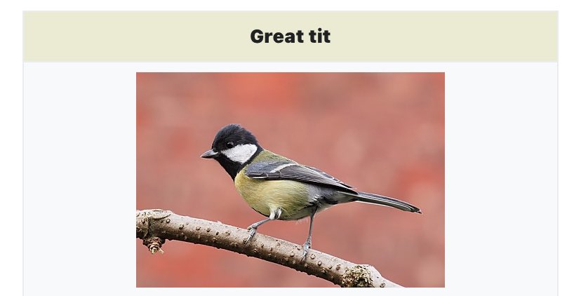 Maybe EVERYONE would be more into birds if we called them by their cooler names