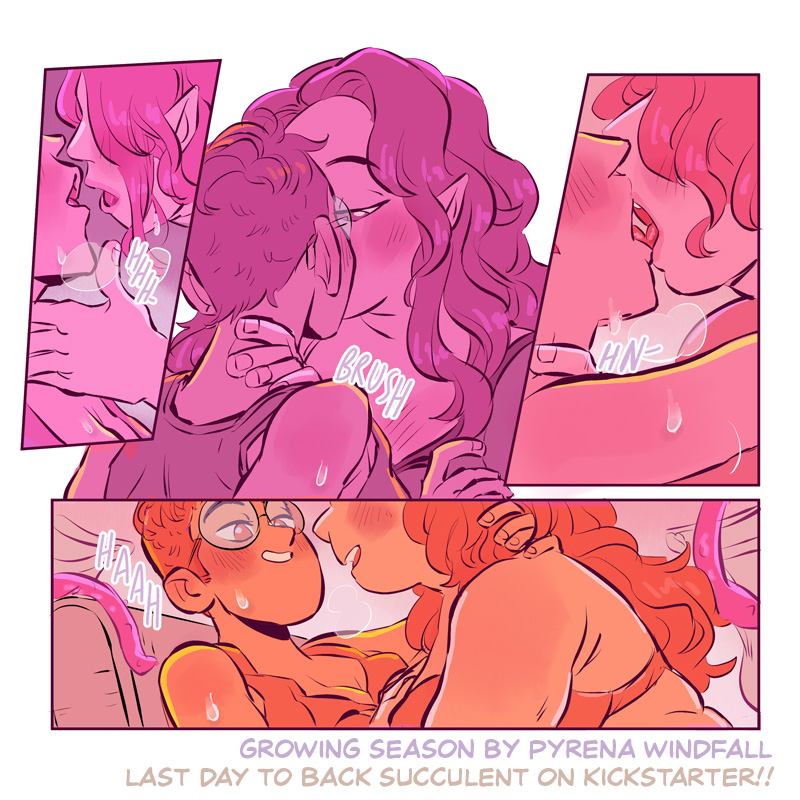 Pyrena Windfall tweet media