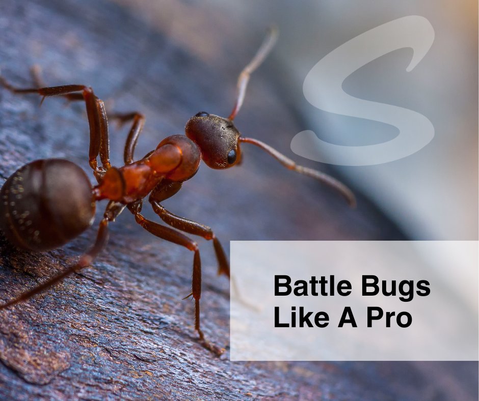 🐞 Noticed more insects lately? Discover why insect numbers are increasing and how to protect your property from unwanted invaders in our latest article! Stay ahead of the bug invasion with expert insights. Read here bit.ly/3UXZSDW 📈🛡️ #InsectNumbers #PestControl