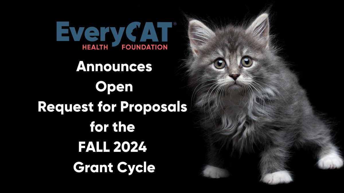 NEW RFP and NEW GRANT CYCLE SCHEDULE!

Request For Proposals (RFP) for the 2024 Grant Cycle, open May 22nd, 2024 - August 30th, 2024 through the EveryCat online Grant Portal. 

ow.ly/WsFF50RH9BF

#everycathealth #cathealth #cat #cats #felinehealth #felinemedicine