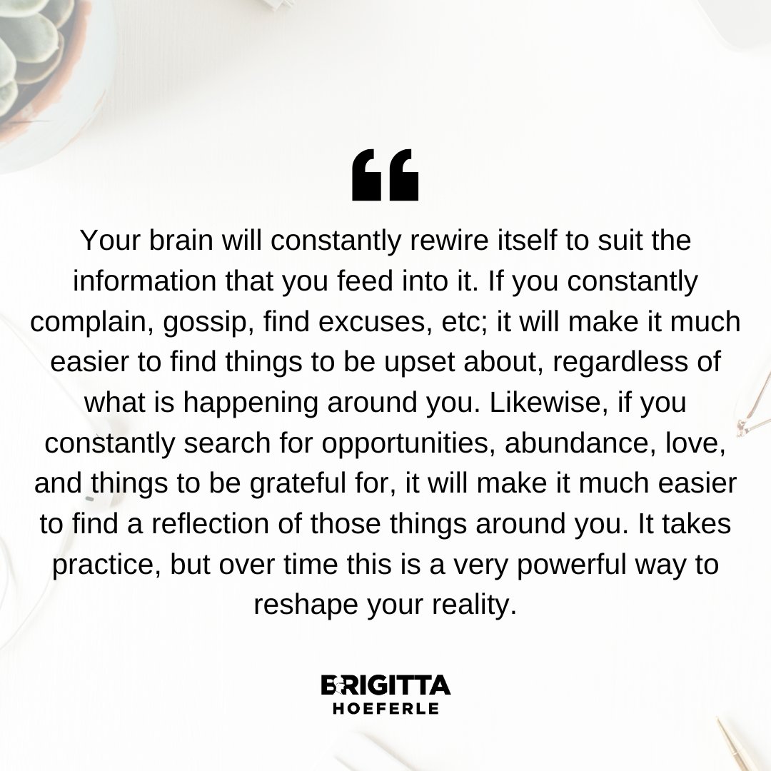 GittaHoeferle's tweet image. Transform your reality by feeding your brain positive input! Embrace opportunities, love, and gratitude to see your world change. 🌟🧠✨ #PositiveInput #MindsetShift #PersonalGrowth #ChoosePositivity