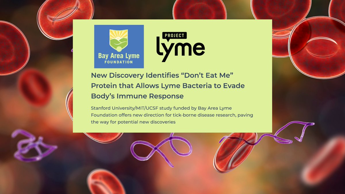 A surface protein on #LymeDisease bacteria acts as a “don’t eat me” signal to the #immune system. This study — funded in part by @BayAreaLyme and Project Lyme — may explain why Lyme can evade the normal immune defenses, resulting in persistent symptoms: globenewswire.com/news-release/2…