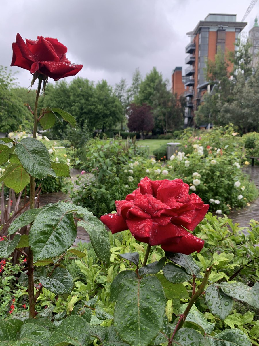 The sun is just about still shining over Bernie Spain Gardens. A perfect spot to catch the last rays of the evening sun before heading off for stroll down Riverside Walk. Have a splendid evening on South Bank.