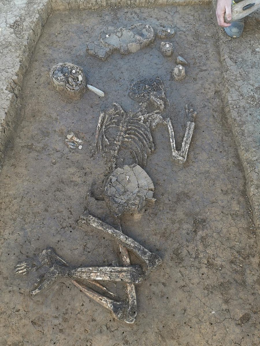 New discovery: A 6,800-year-old Neolithic skeleton with numerous grave goods has been discovered in Exing, Bavaria.
The grave goods include a pouch decorated with two halves of a boar's tooth, which probably contained a blade and tools for making fire.
👉spiegel.de/wissenschaft/m…