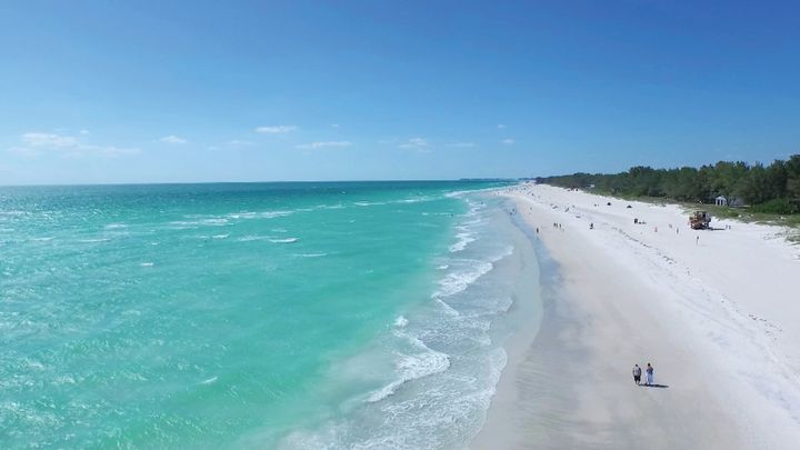 ☀️ 14-night group holiday on Florida's Gulf coast: SAVE £255 per person 🙌 Flights + beach villa in Bradenton (4 adults + 4 kids) dlvr.it/T6wwQj