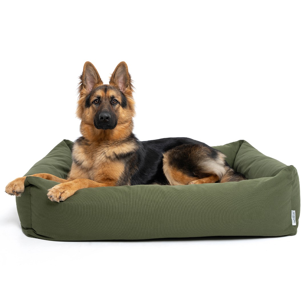 NEW: the ML bed size! 🎉 More sizes, more options...👉 We've added a new size to our Burnham Bolster Beds - ML! It's smaller than our super roomy L, but a bit bigger than an M and perfect for Lab sized dogs! SHOP: ow.ly/5i8550RGZ8Z