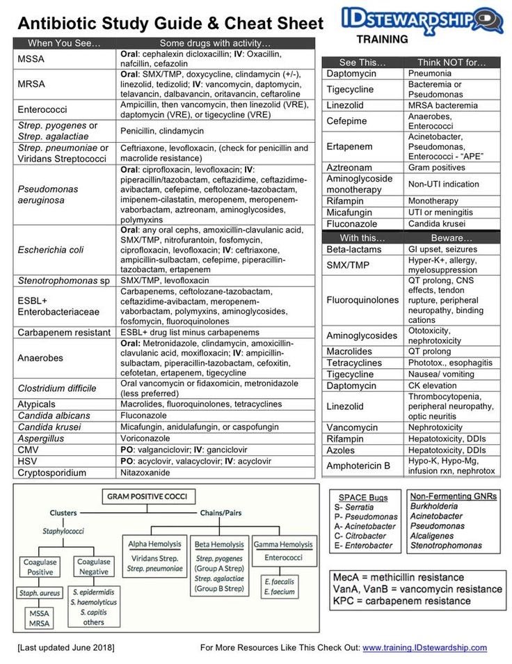 🟠 Antibiotics Study Guide